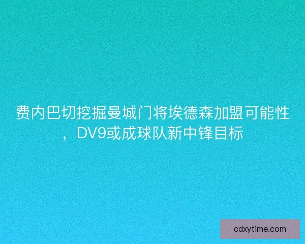 费内巴切挖掘曼城门将埃德森加盟可能性，DV9或成球队新中锋目标