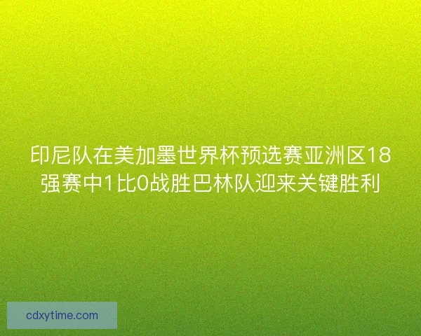 印尼队在美加墨世界杯预选赛亚洲区18强赛中1比0战胜巴林队迎来关键胜利